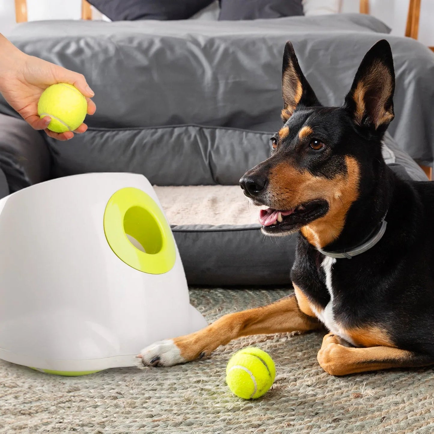 Hyper Fetch Automatic Ball Launcher | Ideal for Large Dogs | Fun Play