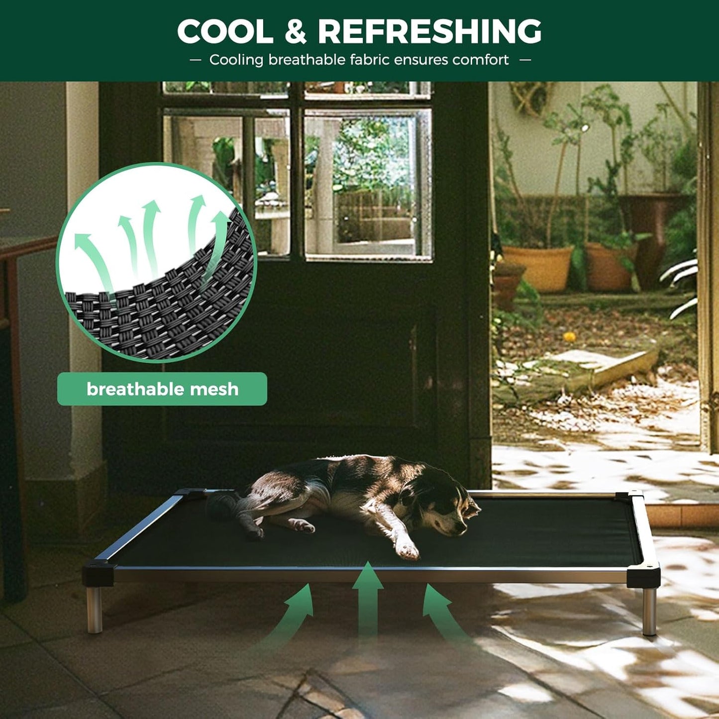 Cooling Elevated Dog Bed | Chew-Proof Design | Comfortable Support