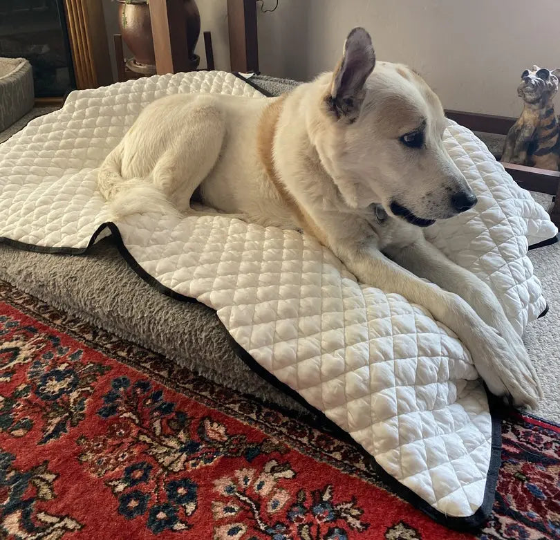 Dog Cooling Mat | Comfortable Relief