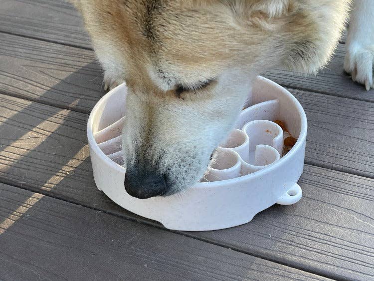 Slow Feeder Bowl | Promotes Healthy Eating | Reduces Bloating and Overeating
