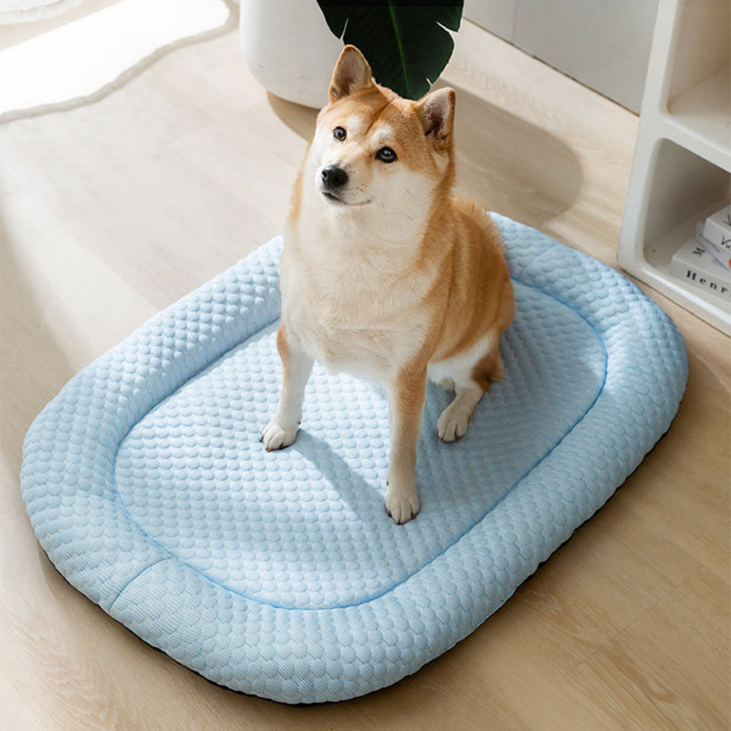 Ice-Silk Cooling Pet Bed | Breathable Comfort | Ideal for Hot Weather