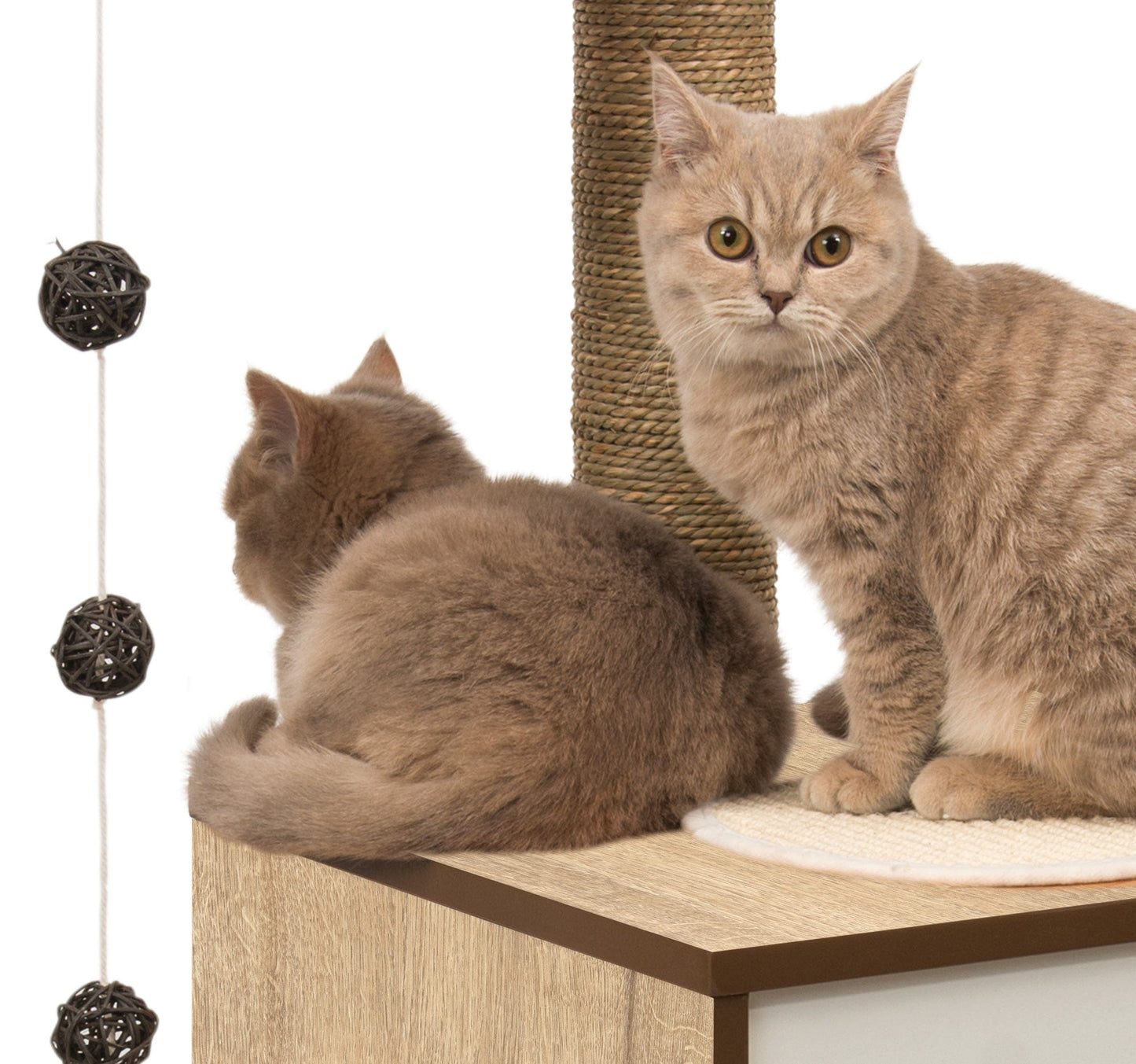High Cat Base Oak | Stylish Storage Solution | Modern Design