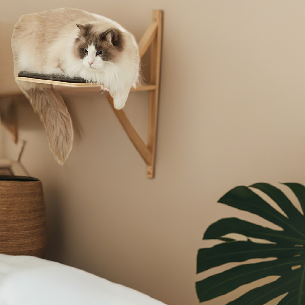 Cat Wall Steps Set of 2 | Wooden Climbing Shelves for Cats
