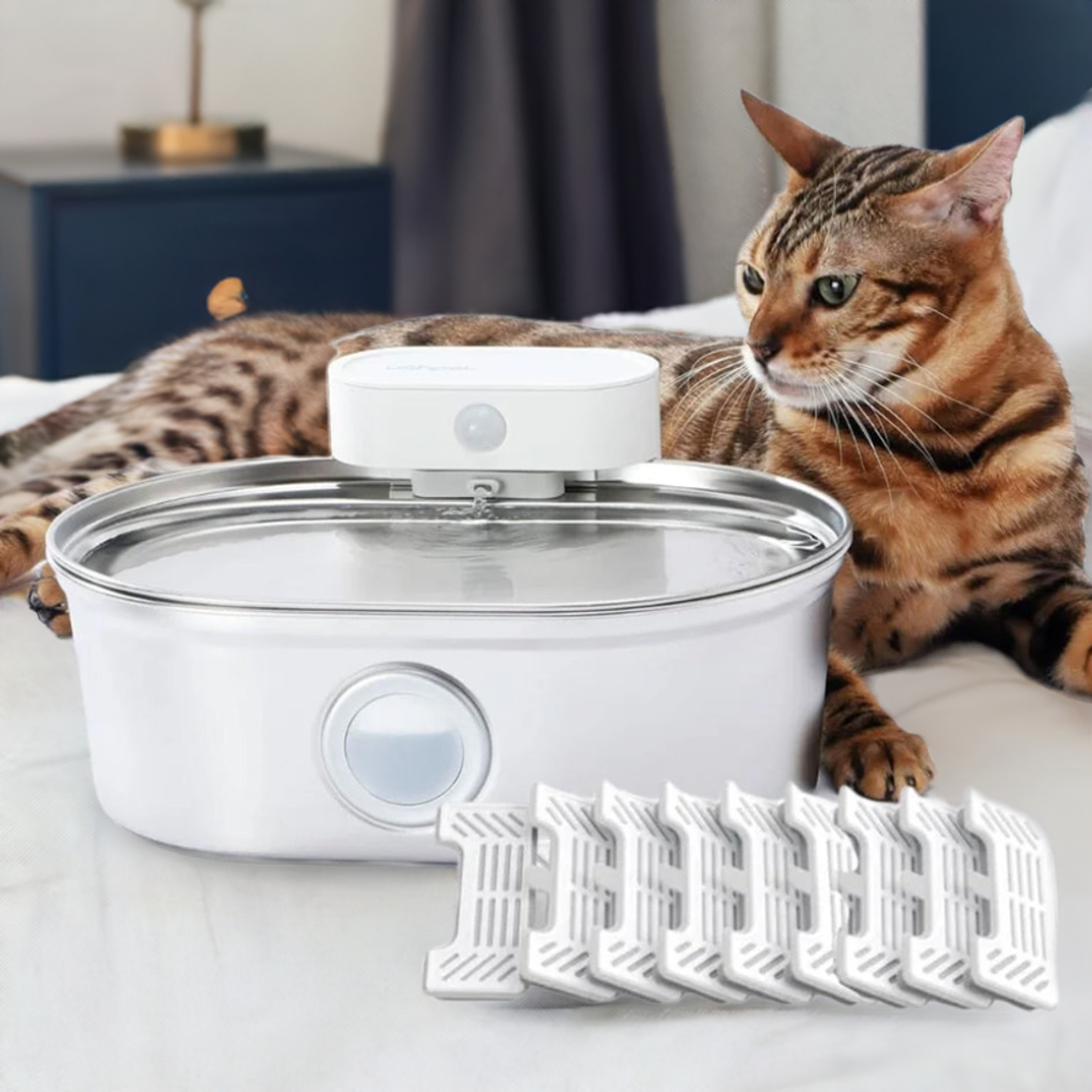 Stainless Steel Cat Water Fountain | Easy Clean