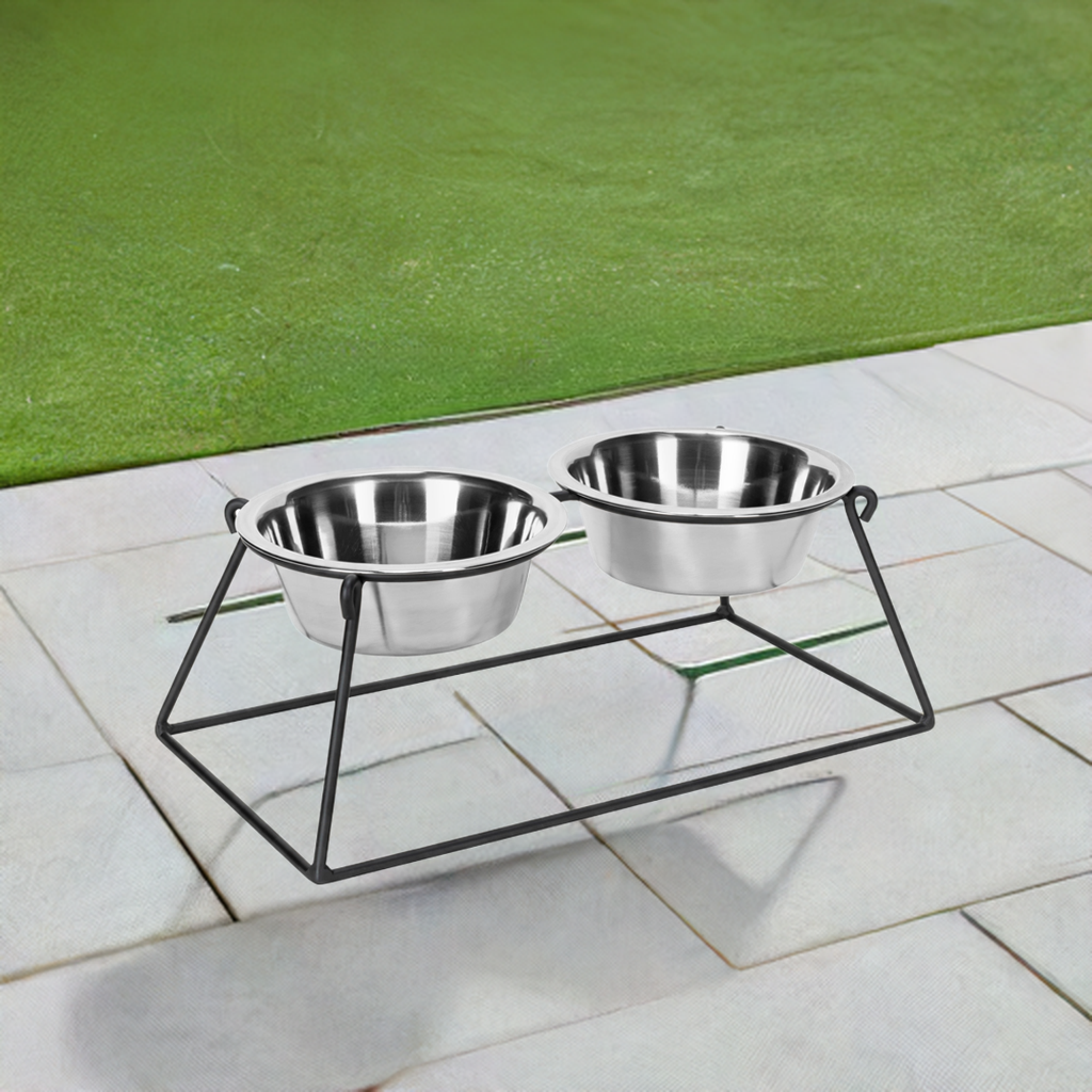 Elevated Double Dog Bowl