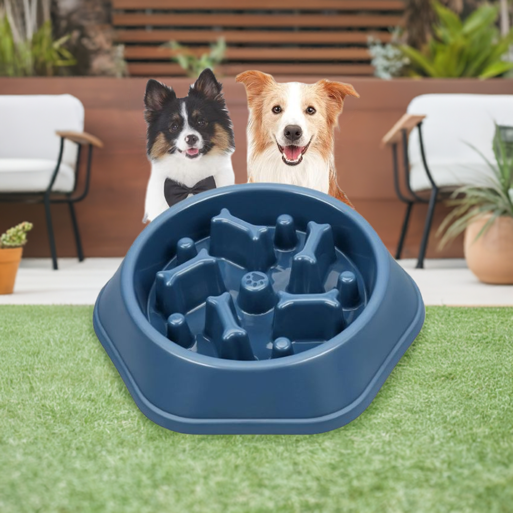 Slow Feeder Dog Bowl | Reduces Bloating | Promotes Healthy Eating
