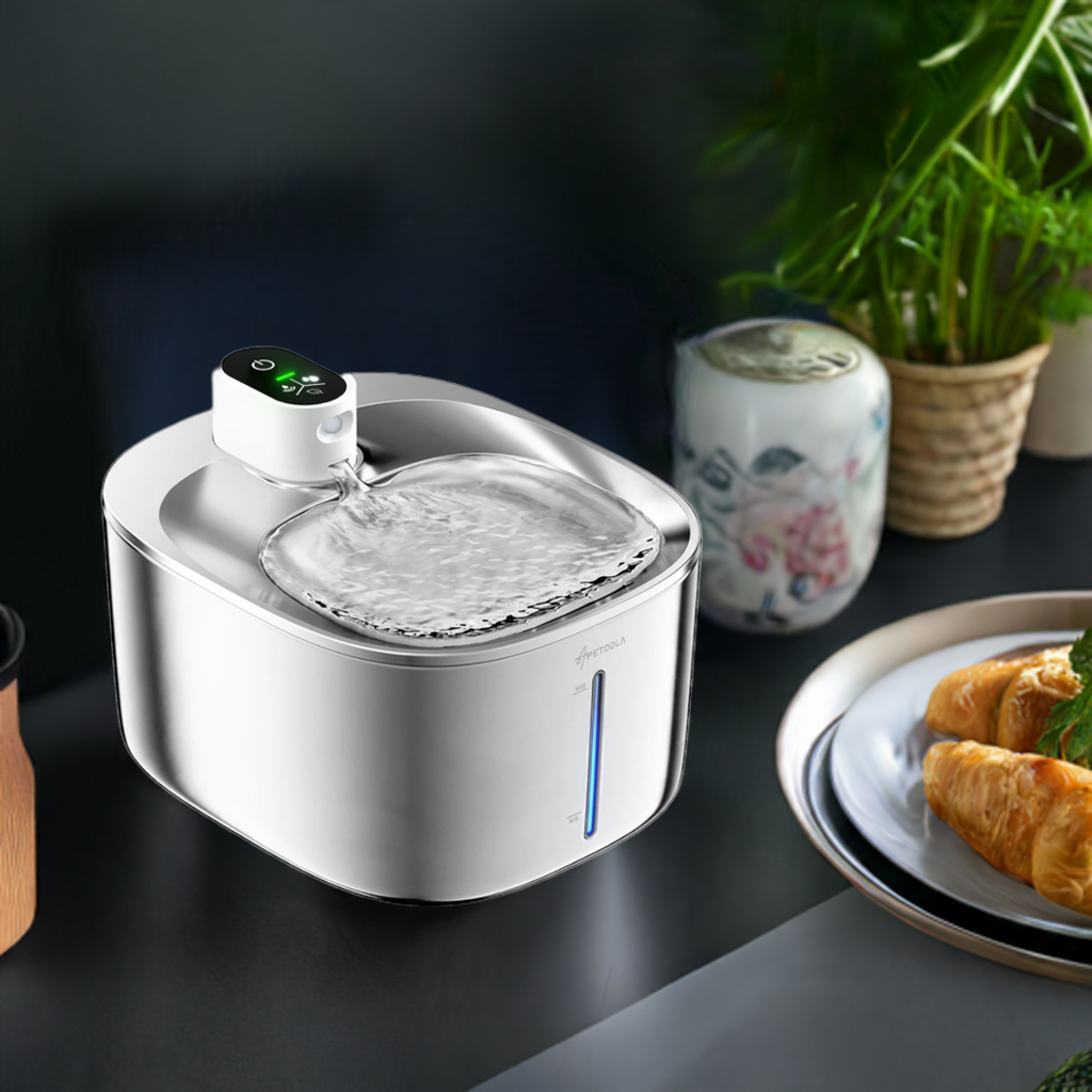 Auto Sensor Drinking Fountain