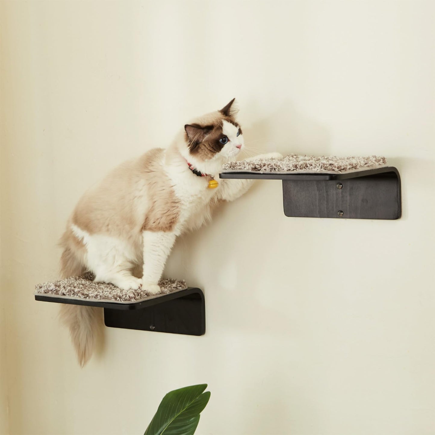 Cat Wall Steps Set of 2 | Wooden Climbing Shelves for Cats