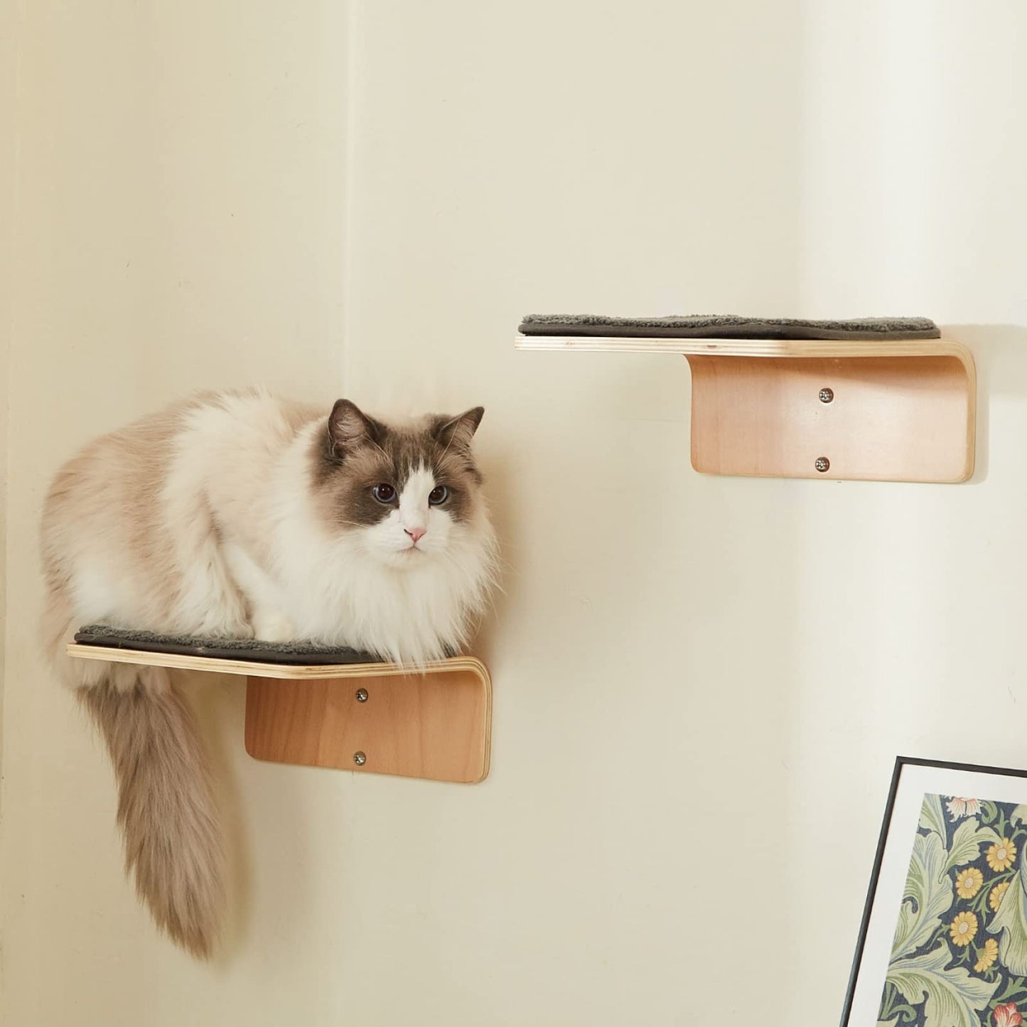 Cat Wall Steps Set of 2 | Wooden Climbing Shelves for Cats