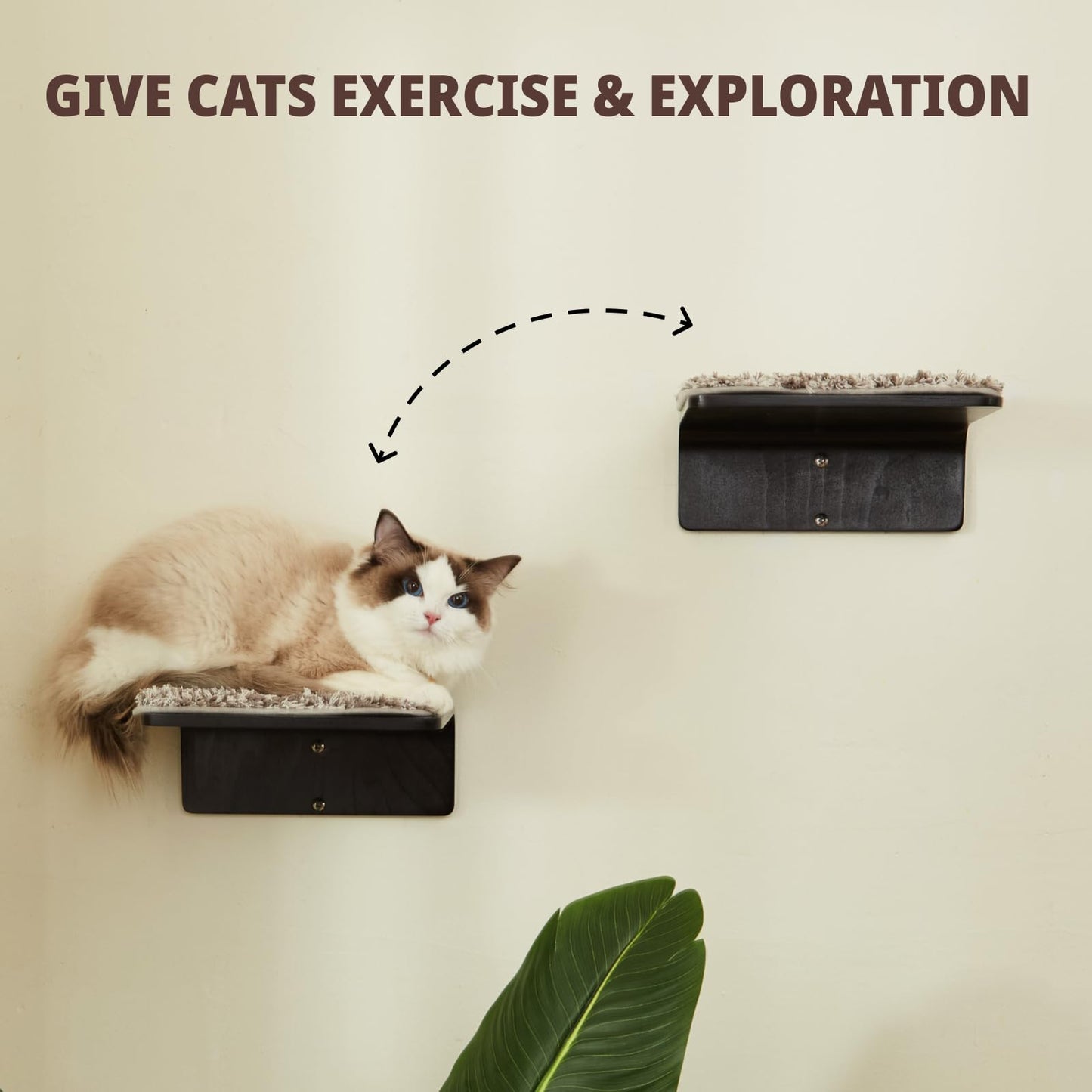 Cat Wall Steps Set of 2 | Wooden Climbing Shelves for Cats