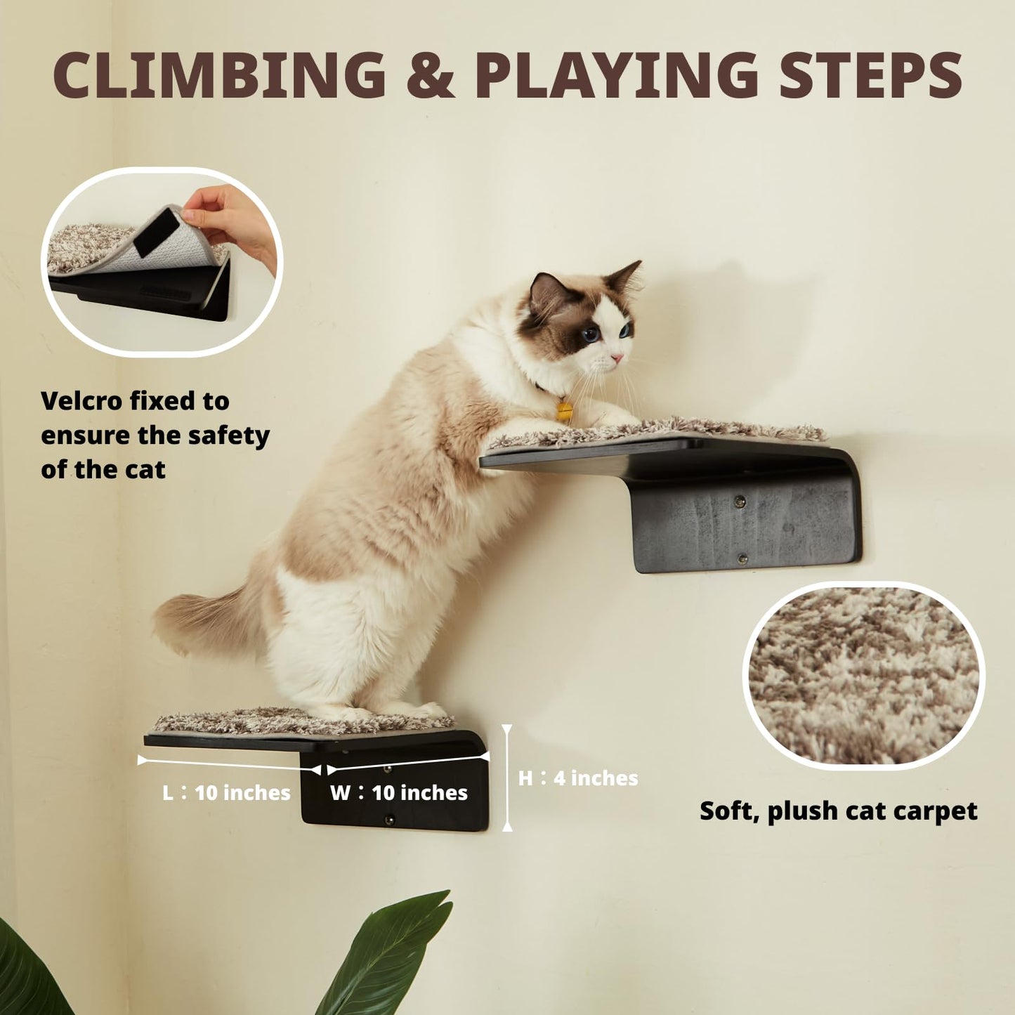 Cat Wall Steps Set of 2 | Wooden Climbing Shelves for Cats