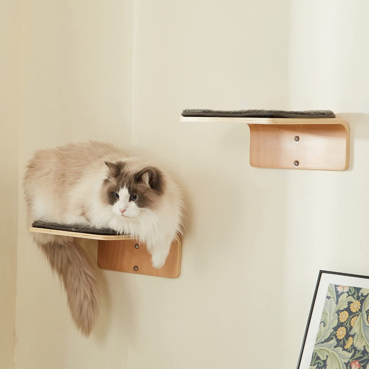 Cat Wall Steps Set of 2 | Wooden Climbing Shelves for Cats
