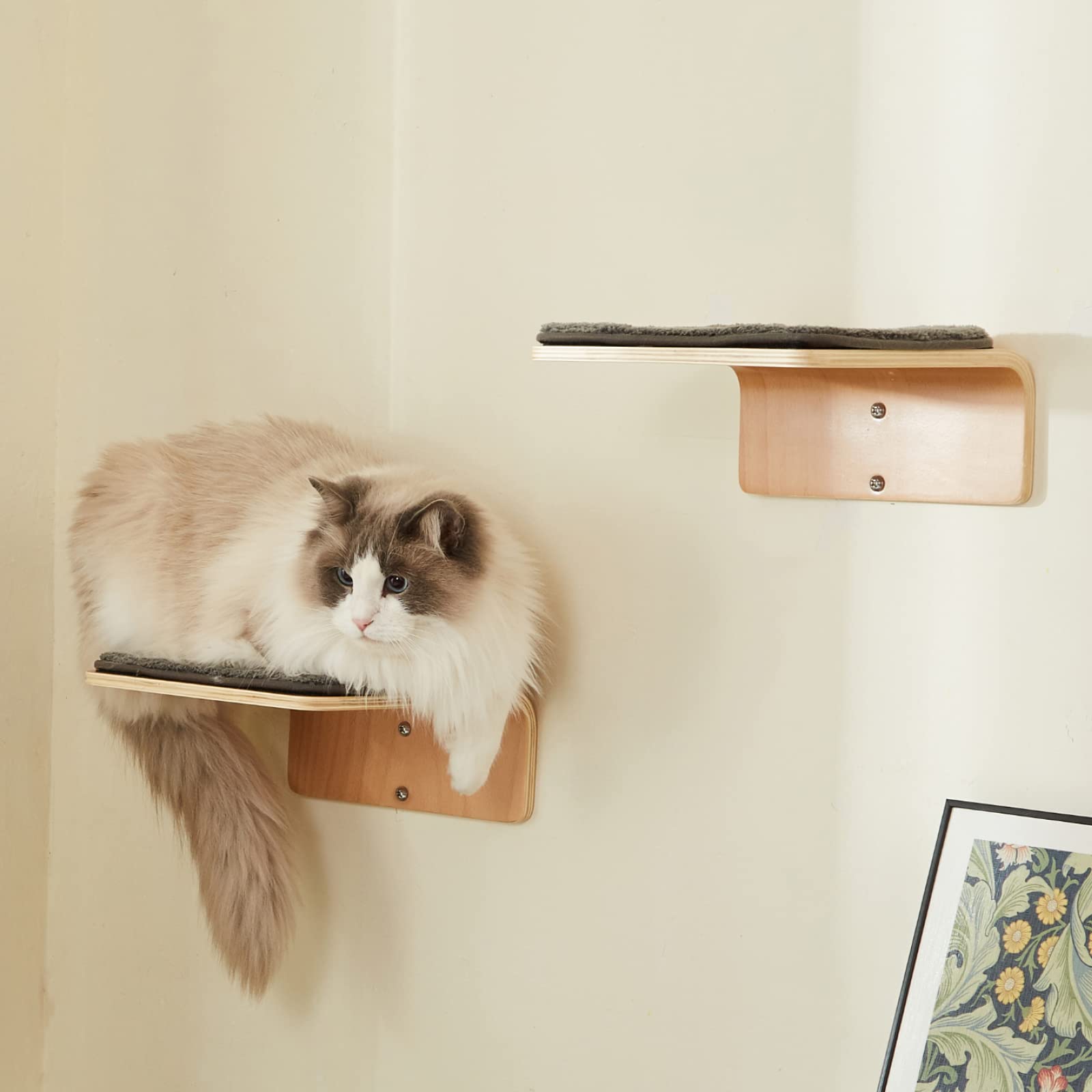 Cat Wall Steps Set of 2 | Wooden Climbing Shelves for Cats