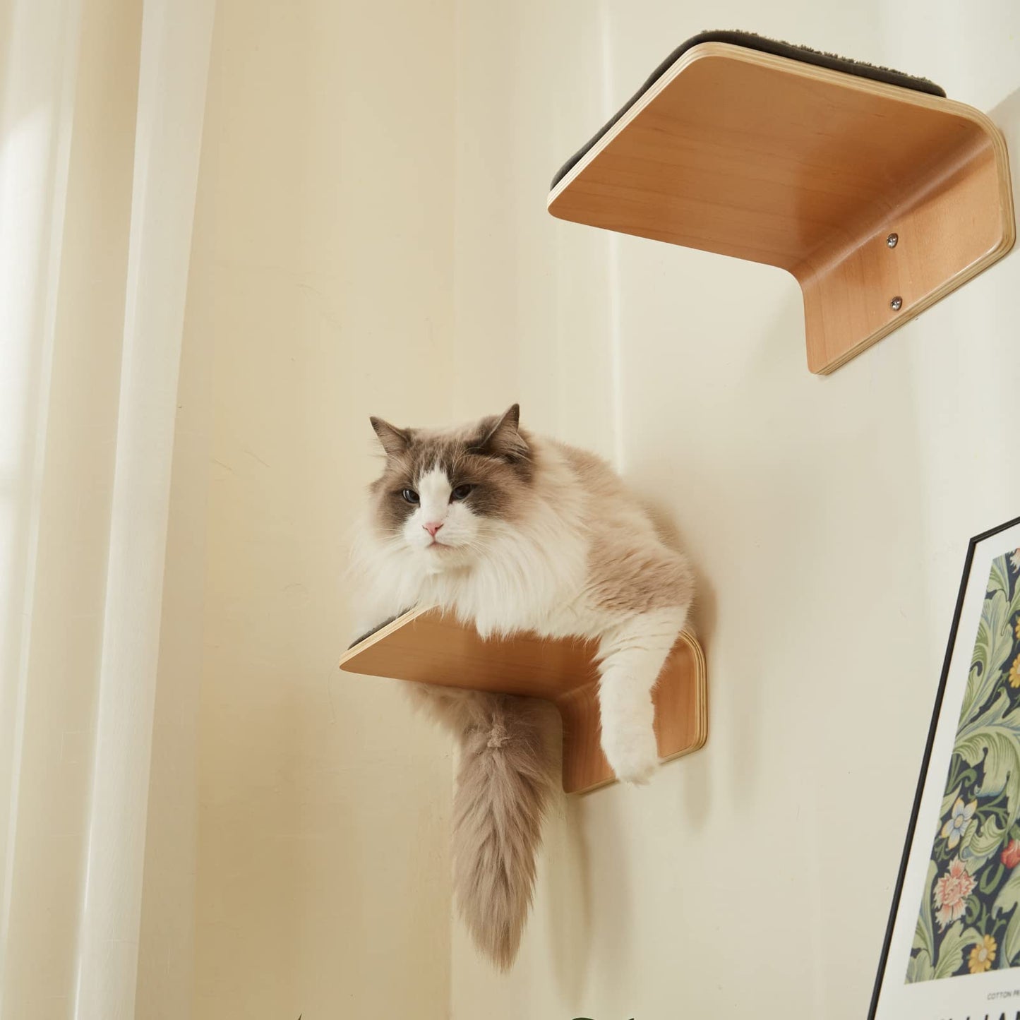 Cat Wall Steps Set of 2 | Wooden Climbing Shelves for Cats