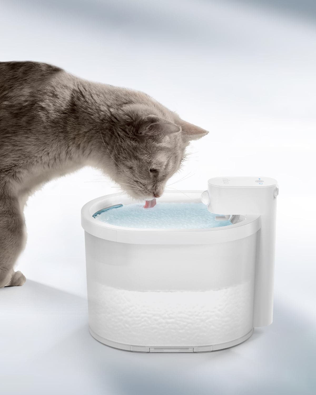 Wireless Automatic Cat Water Fountain | Fresh Flowing Water