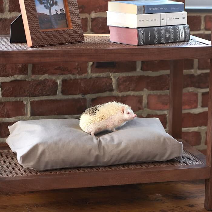 Organic Pet Bed | Washable Waterproof Cover | Eco-Friendly Comfort
