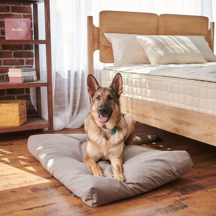 Organic Pet Bed | Washable Waterproof Cover | Eco-Friendly Comfort