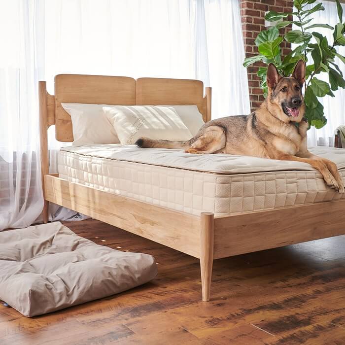 Organic Pet Bed | Washable Waterproof Cover | Eco-Friendly Comfort