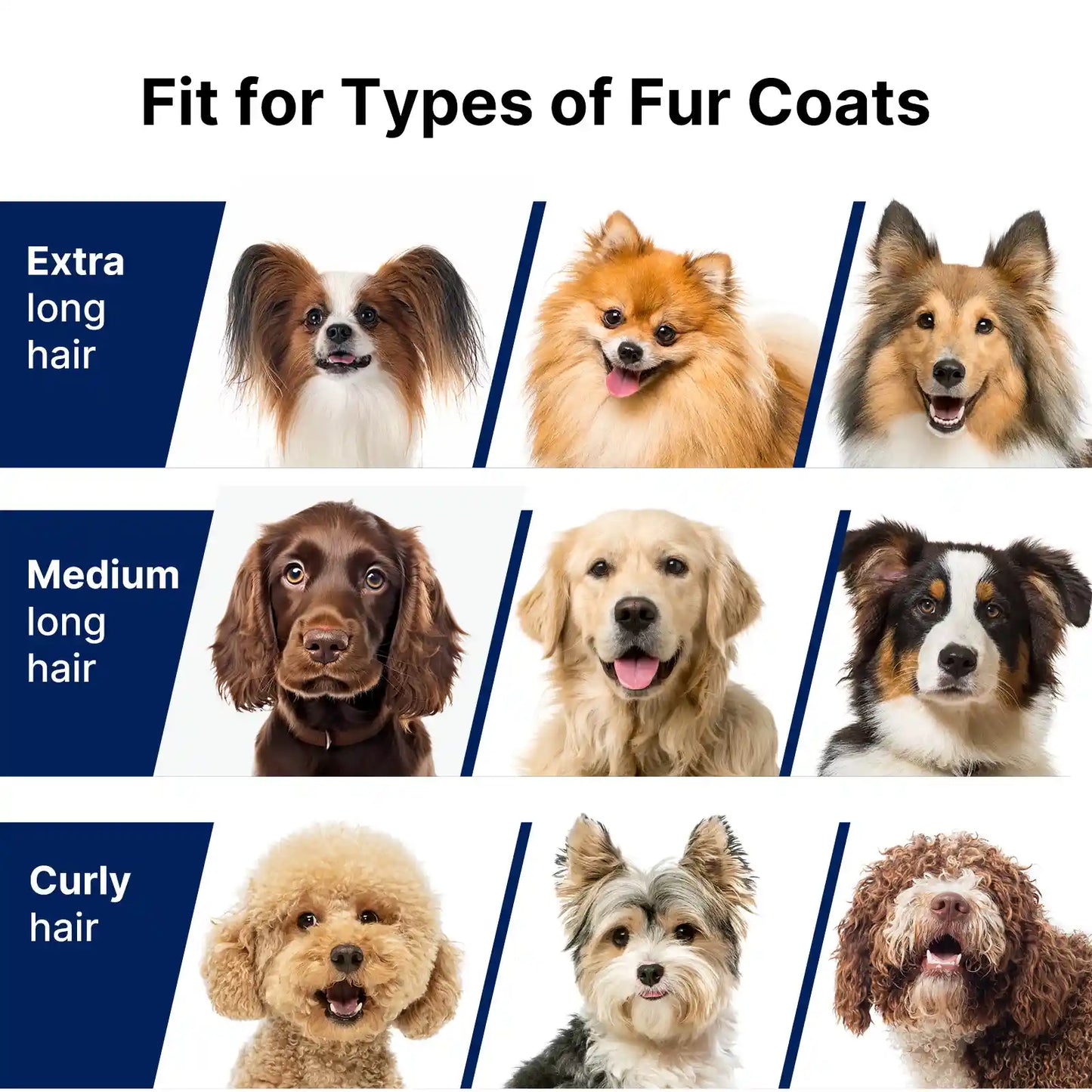 Dog Grooming Vacuum Kit | Effortless Cleaning | Quiet Powerful Suction