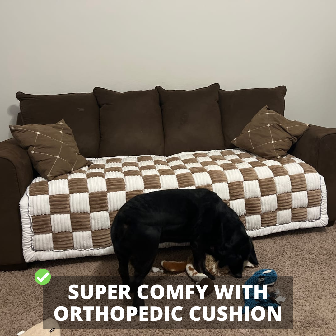 2-in-1 Furniture Protector Dog Bed | Thick Orthopedic Padding Non-Slip