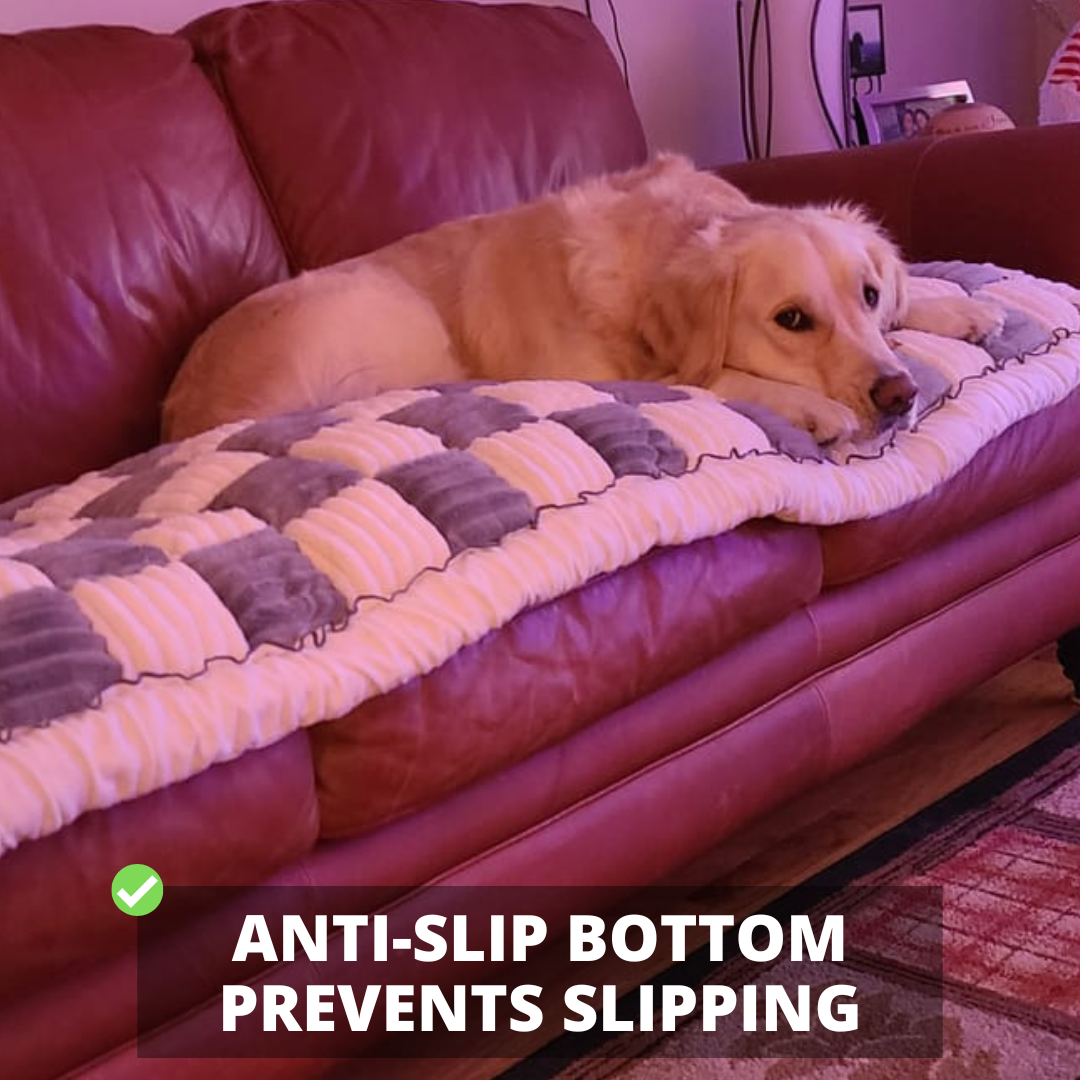 2-in-1 Furniture Protector Dog Bed | Thick Orthopedic Padding Non-Slip