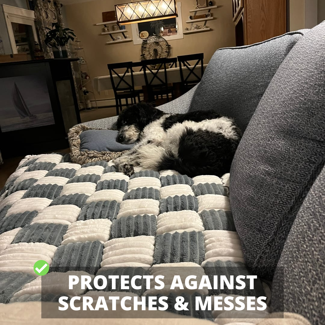 2-in-1 Furniture Protector Dog Bed | Thick Orthopedic Padding Non-Slip