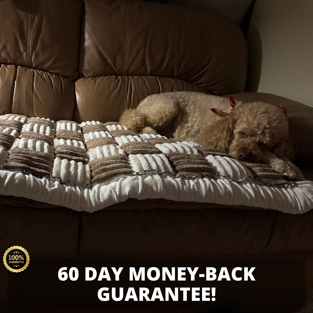 2-in-1 Furniture Protector Dog Bed | Thick Orthopedic Padding Non-Slip