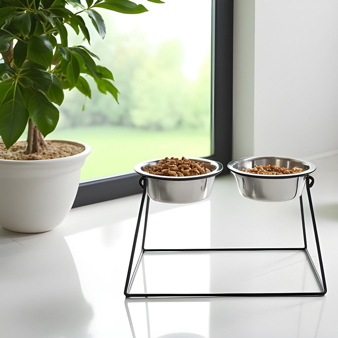 Elevated Double Dog Bowl
