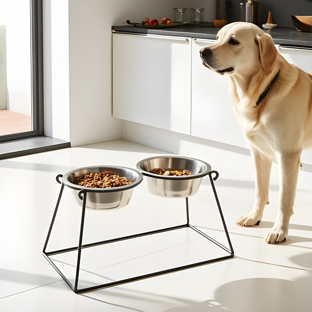 Elevated Double Dog Bowl