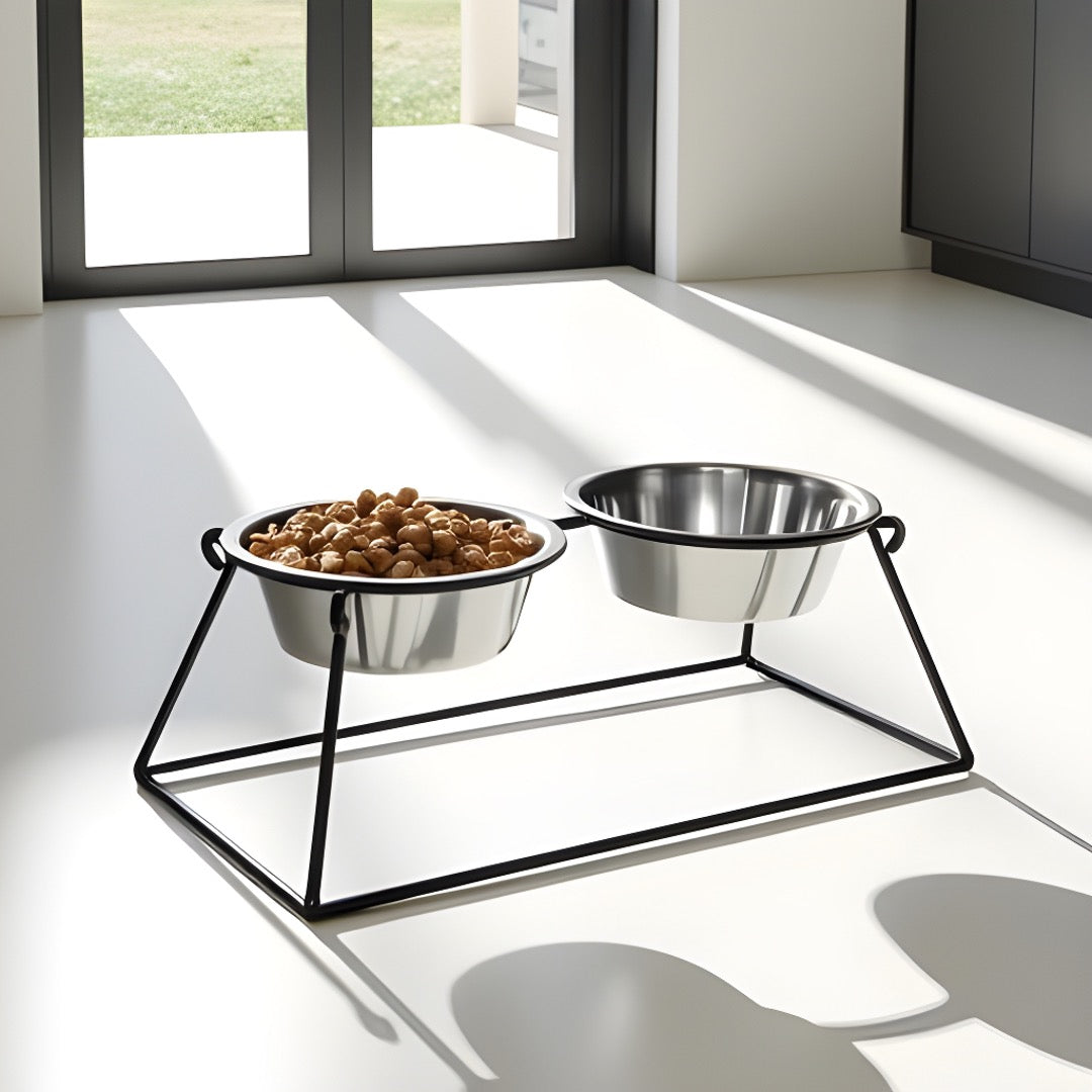Elevated Double Dog Bowl