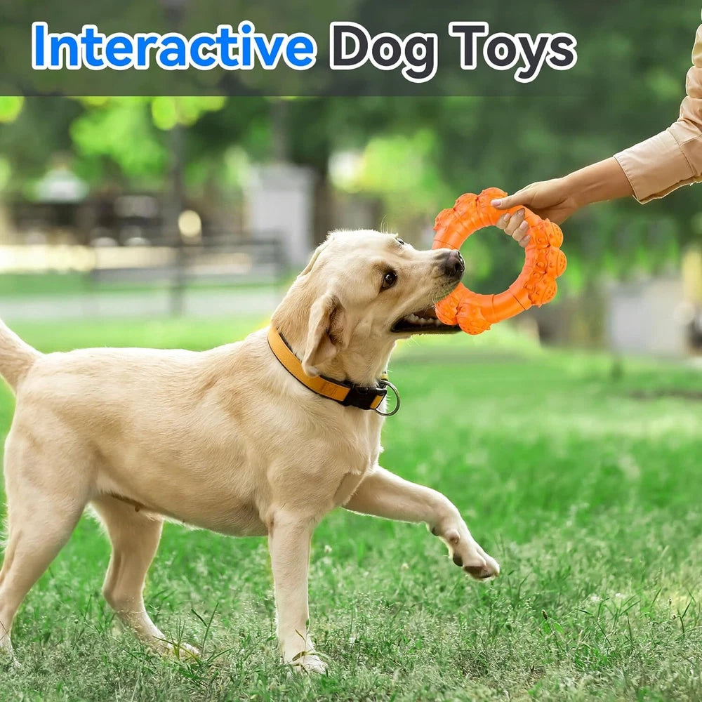 Indestructible Dog Chew Ring | Durable for Aggressive Chewers | Tough Toy