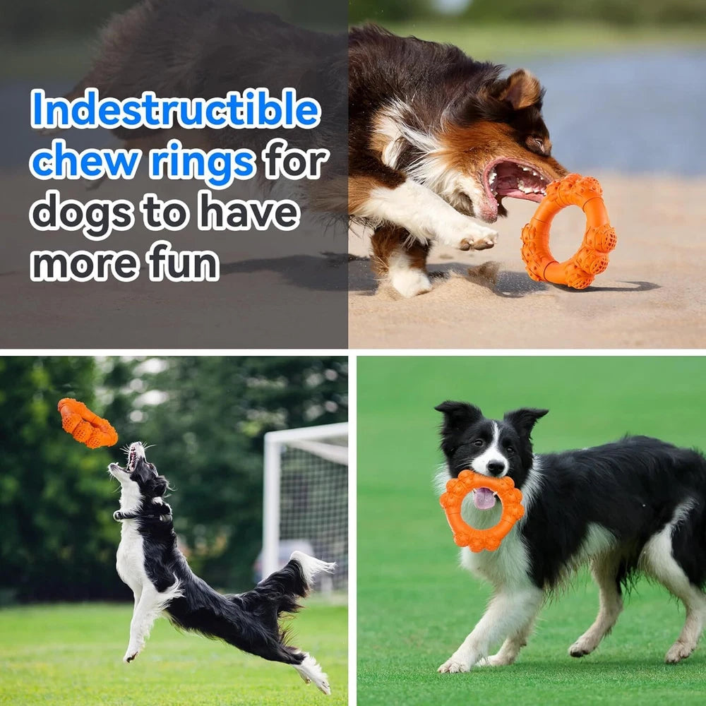 Indestructible Dog Chew Ring | Durable for Aggressive Chewers | Tough Toy