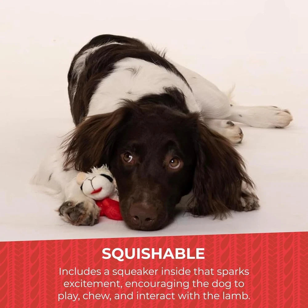 Dog Chew Toys for Aggressive Chewers | Indestructible Tough Squeaky