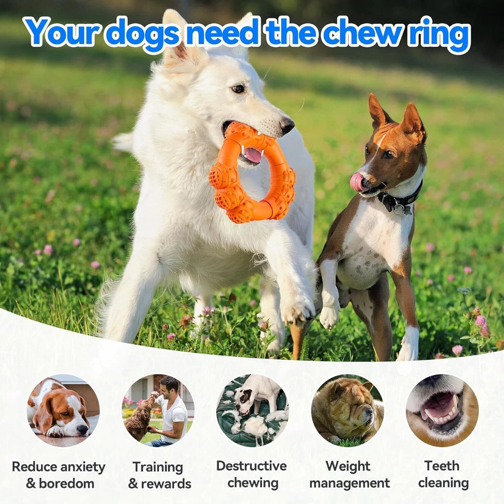 Indestructible Dog Chew Ring | Durable for Aggressive Chewers | Tough Toy