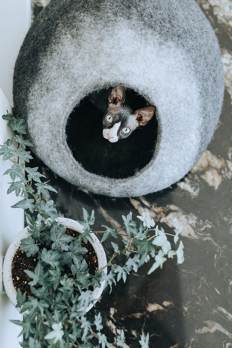 Cat Cave Bed | Cozy Hideaway | Eco-Friendly Material | Stylish Design