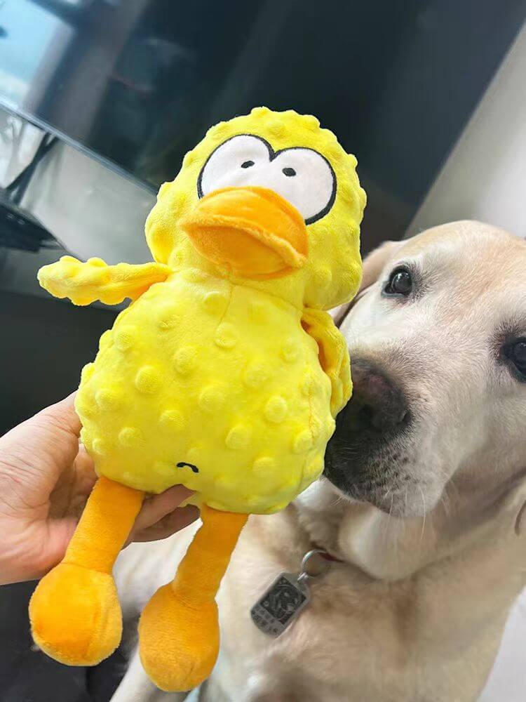Tough Dog Chew Toy | Durable Heavy Chewer Friendly Design