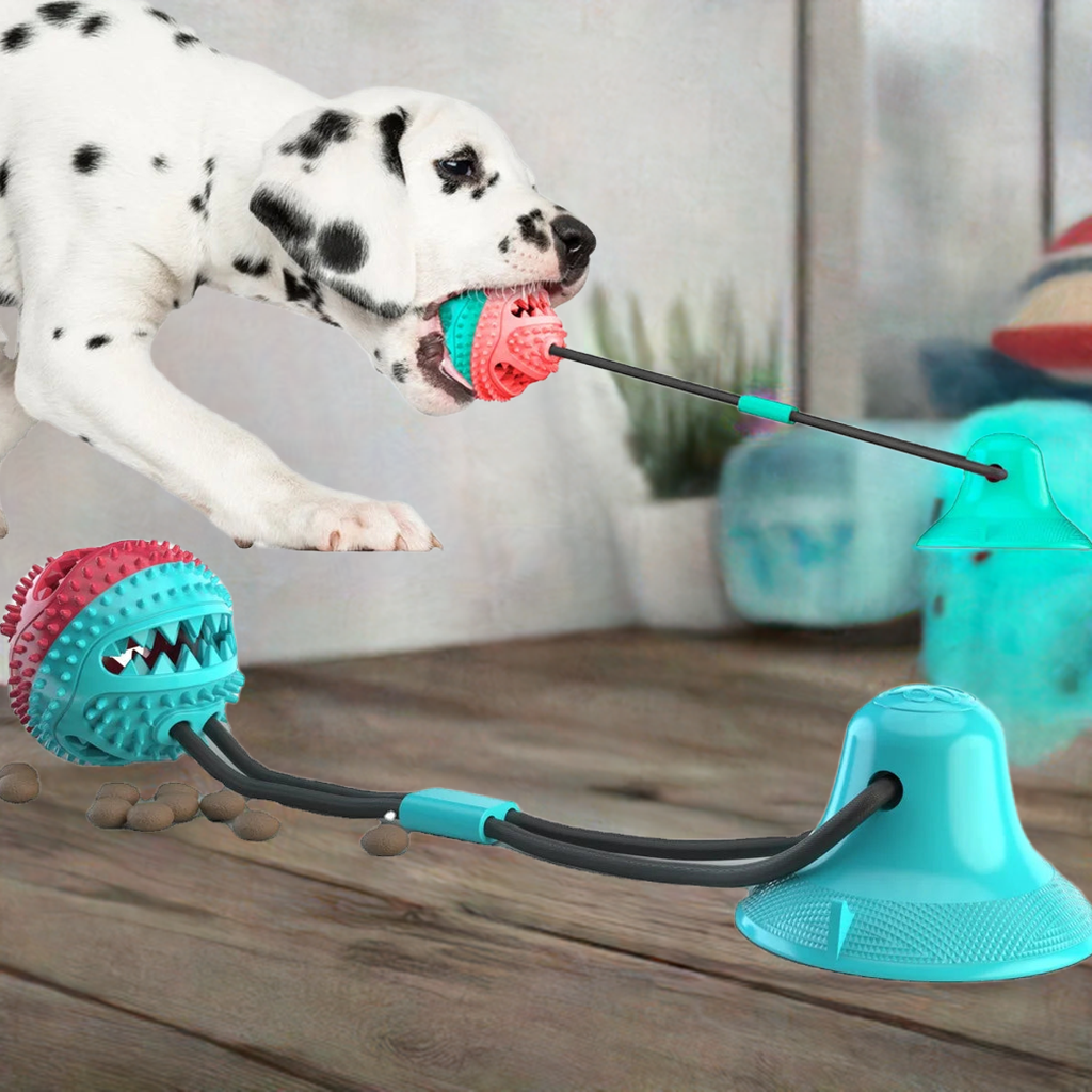 Pull Rope Chew Toy | Strong Suction Cup | Durable Dog Playtime