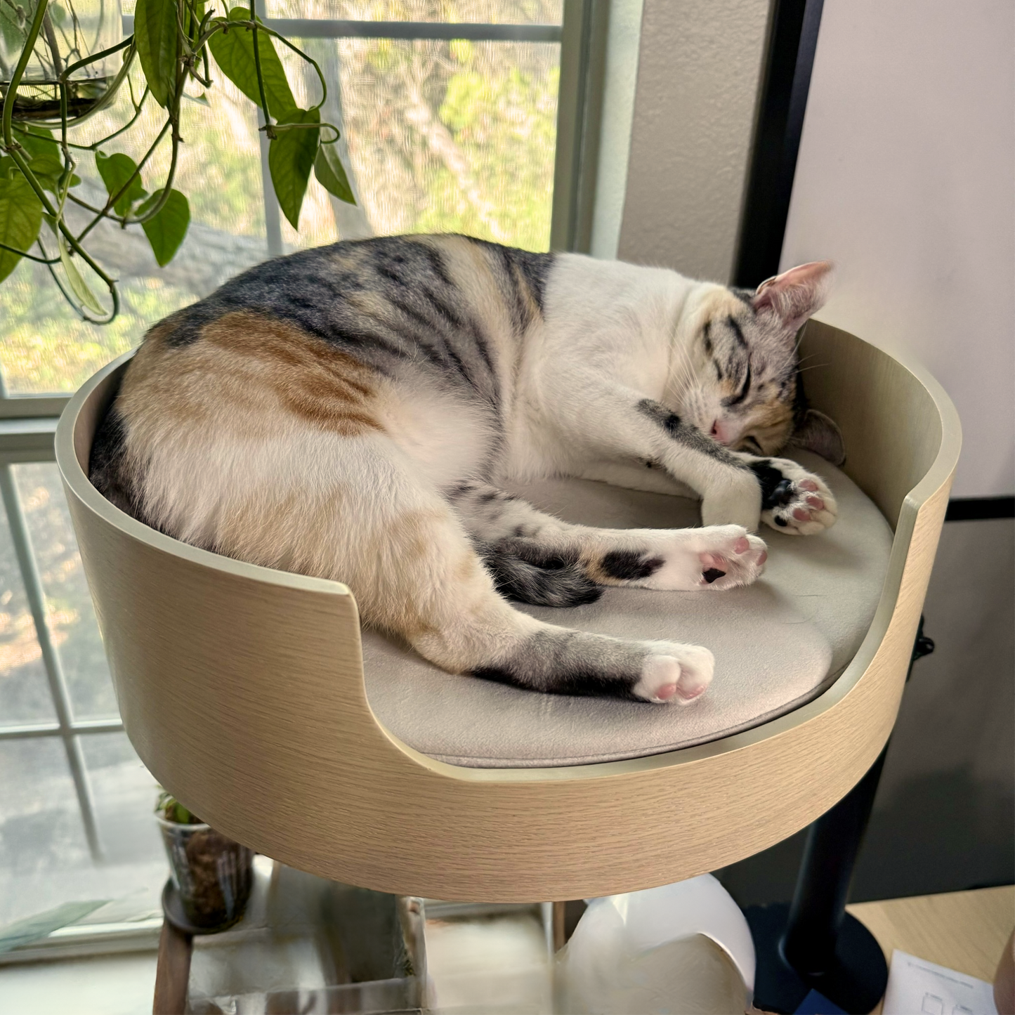 Cat Desk Nest | Space-saving design | Ergonomic workspace organizer