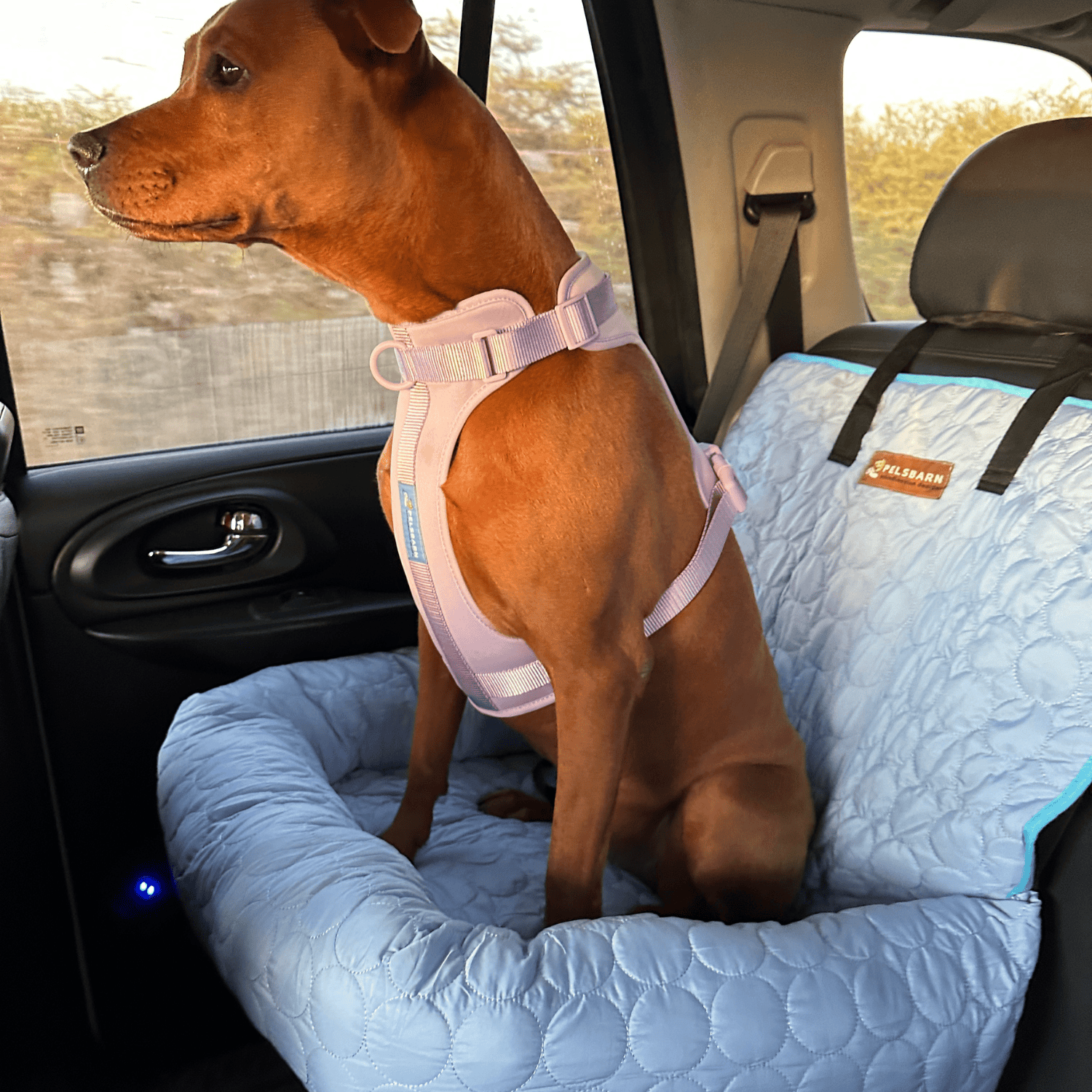Cooling Car Bed for Dogs| Comfortable & Portable