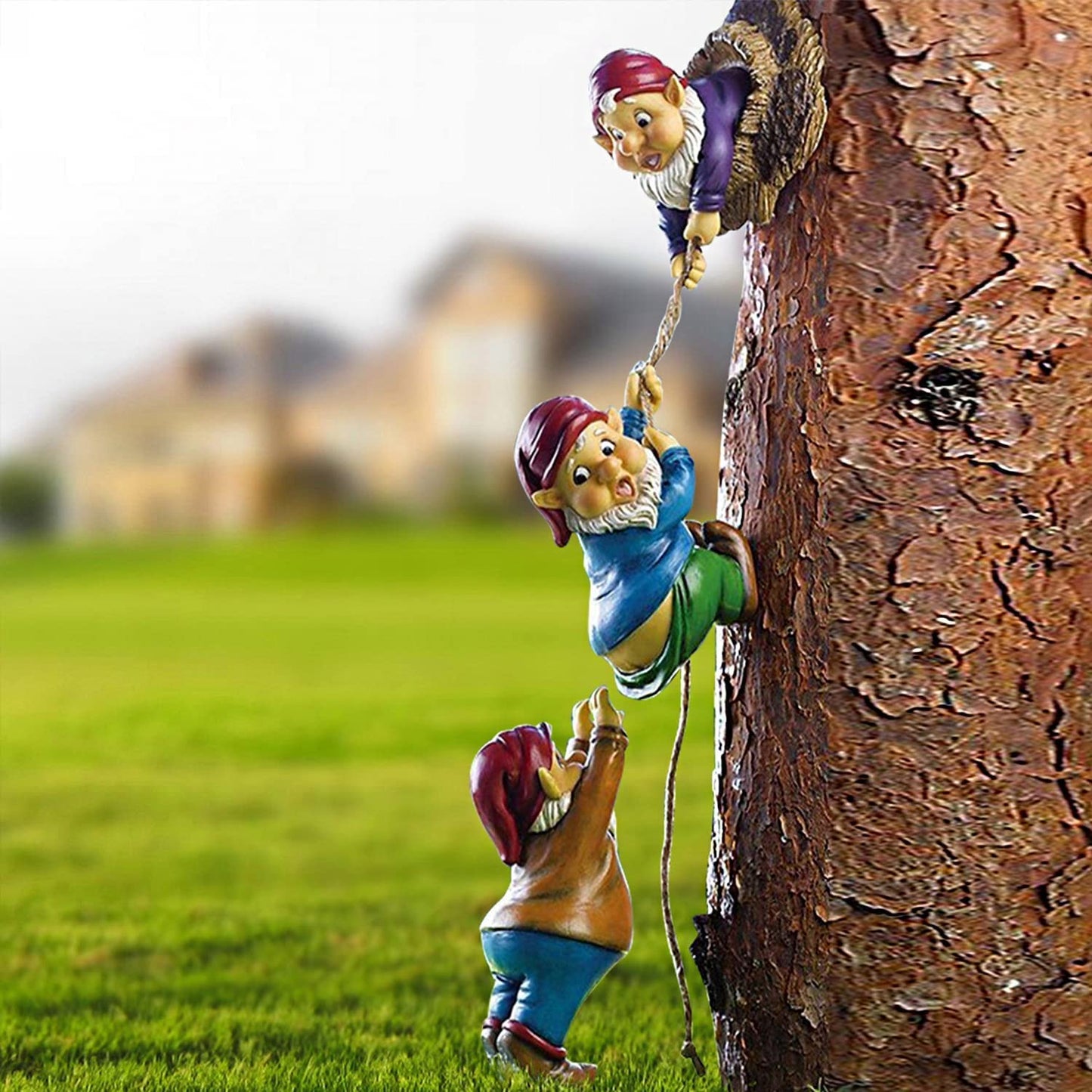 3 Naughty Climbing Gnomes