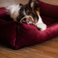 Vibrant Velvet Dog Bed | Cozy Comfort | Stylish Design | Easy to Clean