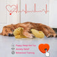 Calming Heartbeat Puppy Dog Toy | Soothes Anxiety | Soft and Cuddly