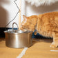 Cat Water Fountain | Promotes Hydration | Reduces Stress