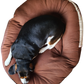 Hypoallergenic Nest Dog Bed | Comfortable Cradle for All Breeds