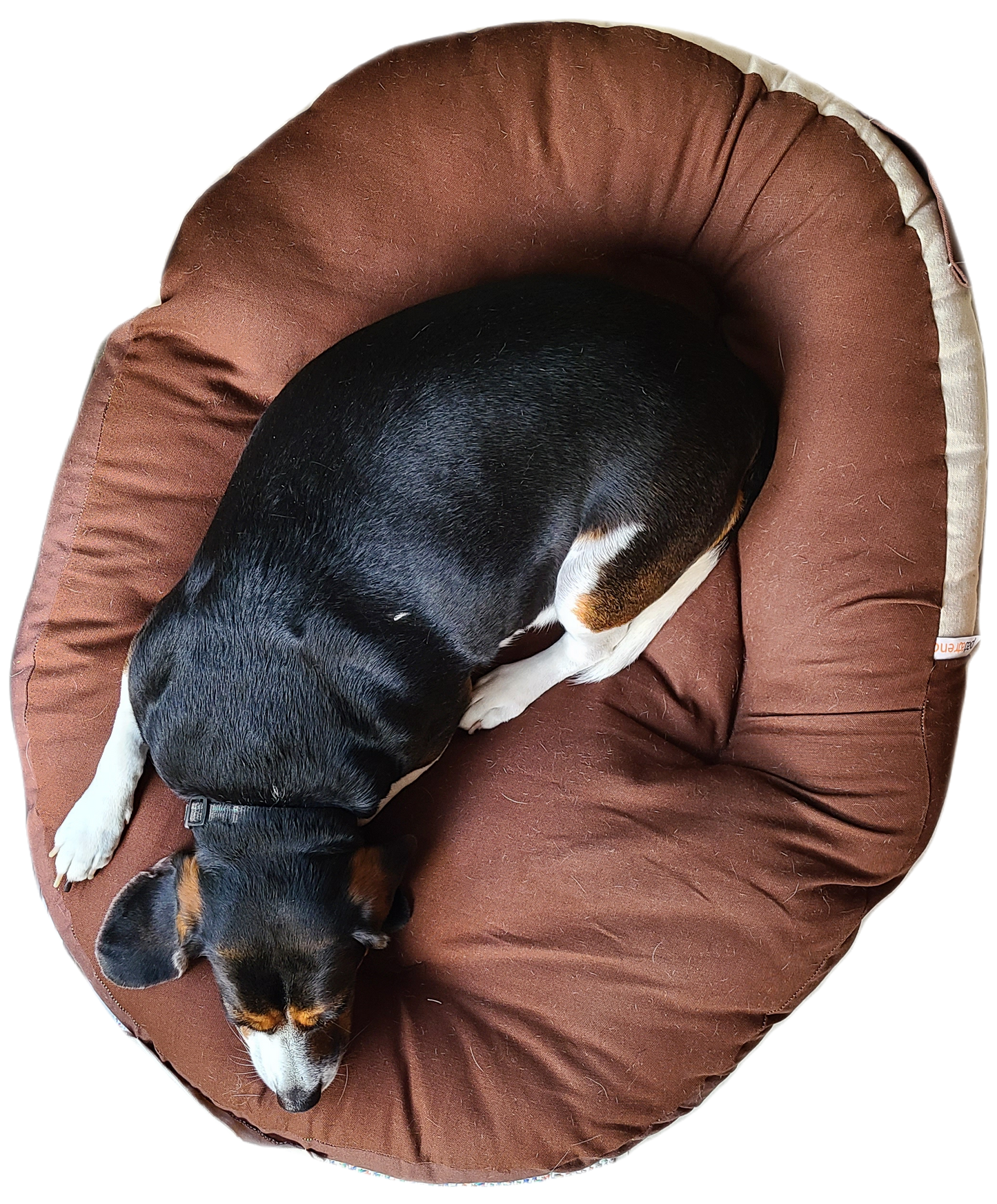 Hypoallergenic Nest Dog Bed | Comfortable Cradle for All Breeds
