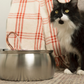 Cat Water Fountain | Promotes Hydration | Reduces Stress