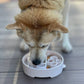Slow Feeder Bowl | Promotes Healthy Eating | Reduces Bloating and Overeating