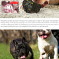 Meteorite Rolling Giggling Dog Ball | Interactive Fun | Durable Design