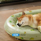 Dog Cooling Mat | Scratch Resistant