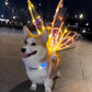 LumiPaws™ Wings